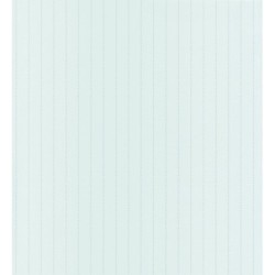 Raya Petit Points 126589