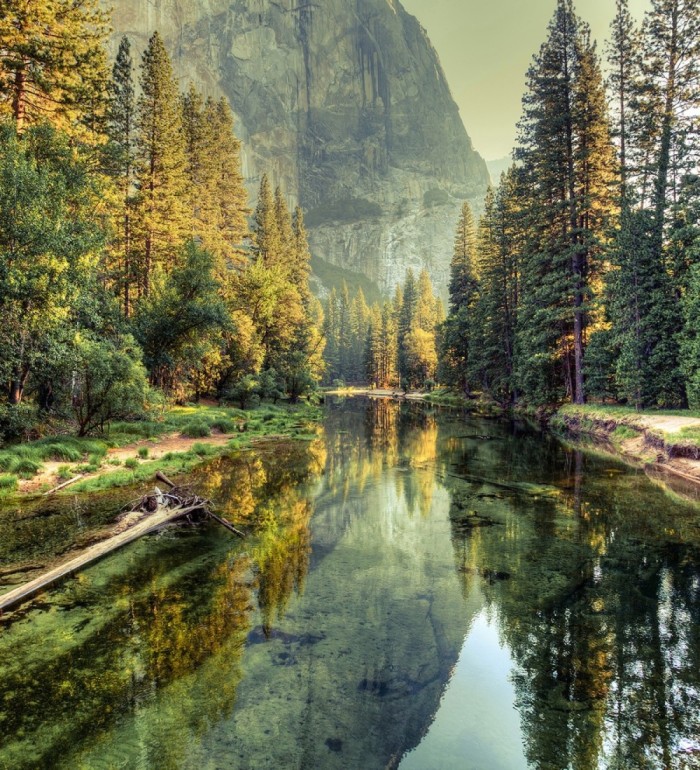 Papel pintado mural reflejos de montaña y bosque con luz de mañana - Everest Valley 684719