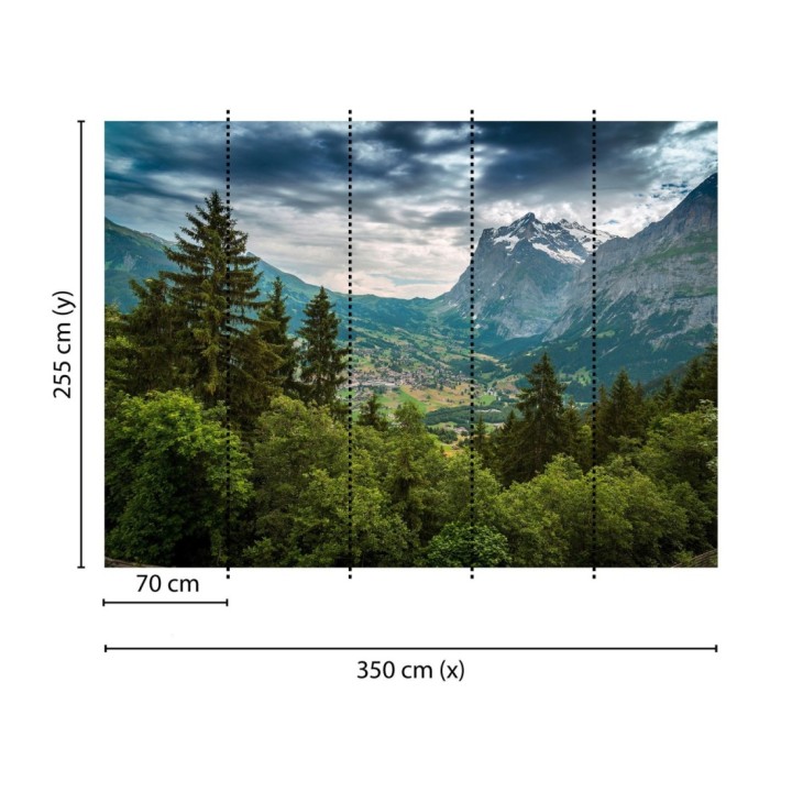 Papel pintado mural valle alpino con aldea y cumbres nevadas - Nature Haven 684720