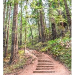 Papel pintado Everest Valley 684723