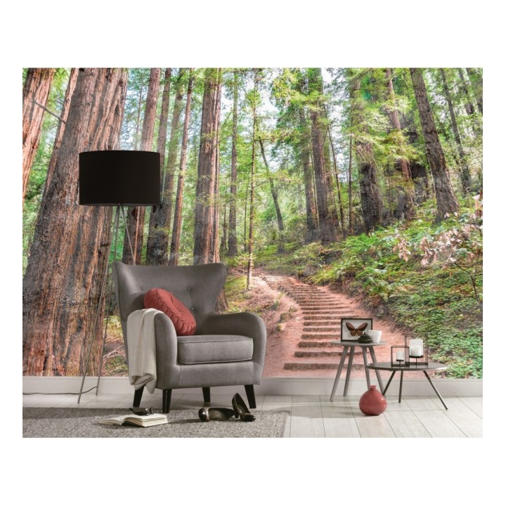 Papel pintado mural paseo forestal entre árboles altos y helechos - Everest Valley 684723