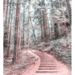 Papel pintado Everest Valley 684724