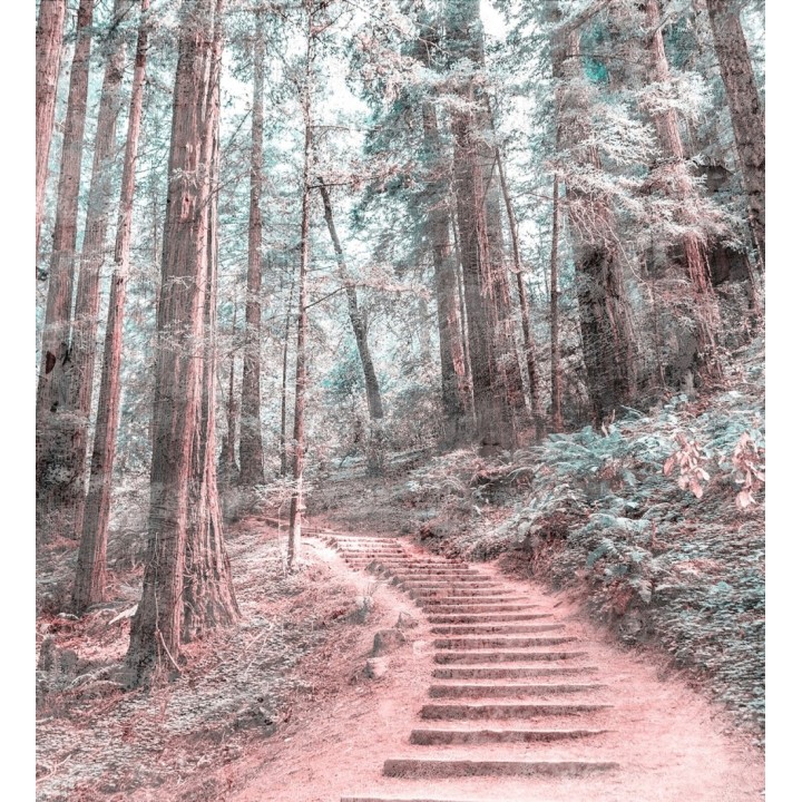 Papel pintado mural sendero de ensueño entre árboles y luz tenue - Everest Valley 684724