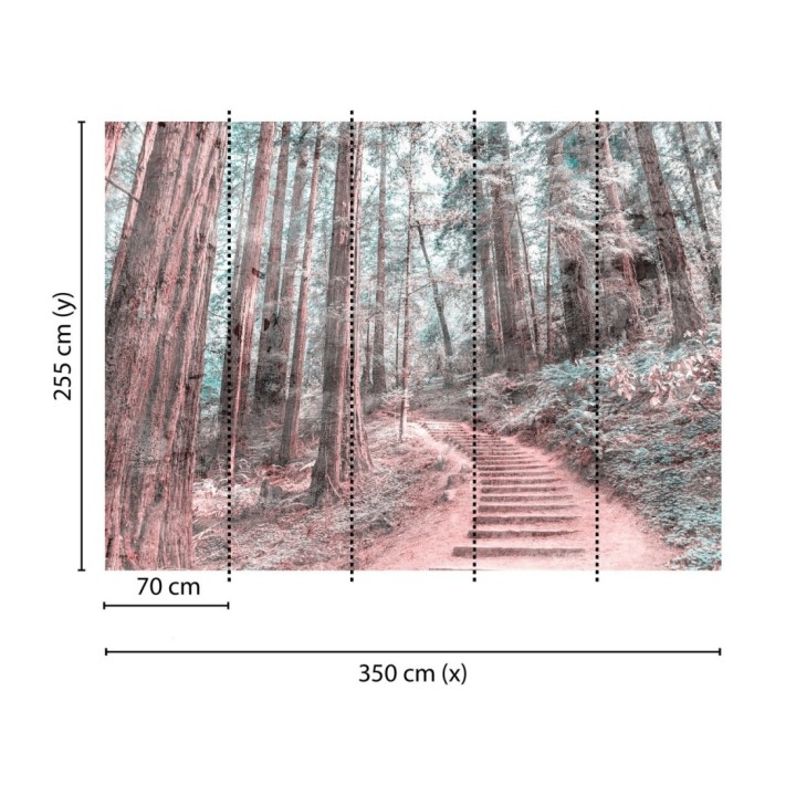 Papel pintado mural sendero de ensueño entre árboles y luz tenue - Everest Valley 684724