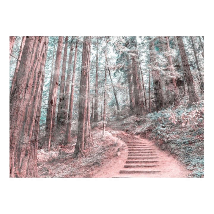 Papel pintado mural sendero de ensueño entre árboles y luz tenue - Everest Valley 684724