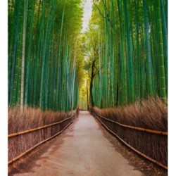 Papel pintado Odessa Trail 684725