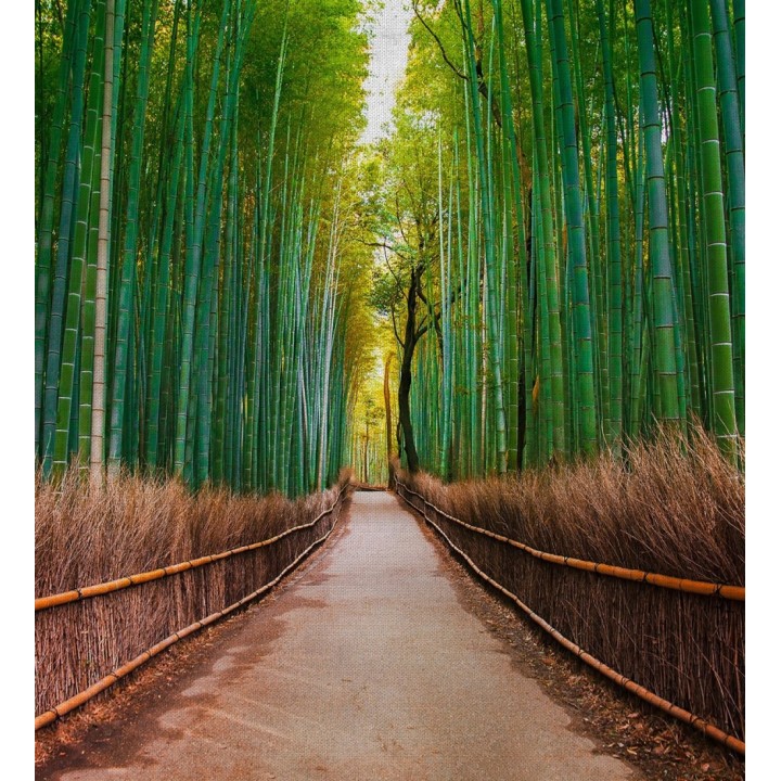 Papel pintado mural bosque de bambú profundo estilo oriental - Odessa Trail 684725