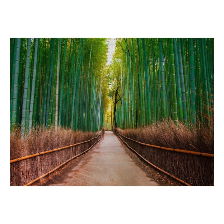 Papel pintado mural bosque de bambú profundo estilo oriental - Odessa Trail 684725