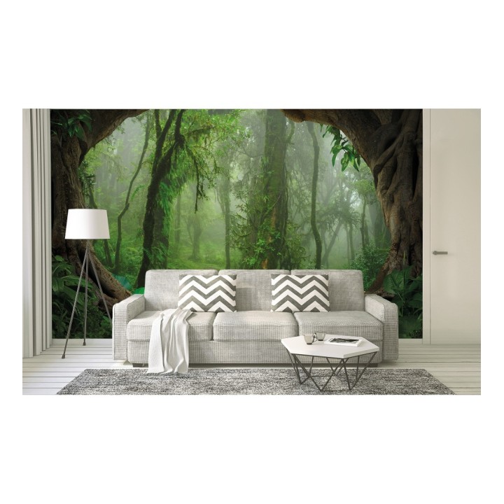 Papel pintado mural sendero natural en jungla exótica y niebla - Everest Valley 684726