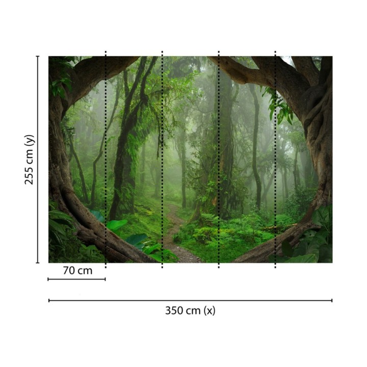 Papel pintado mural sendero natural en jungla exótica y niebla - Everest Valley 684726