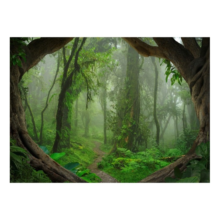 Papel pintado mural sendero natural en jungla exótica y niebla - Everest Valley 684726