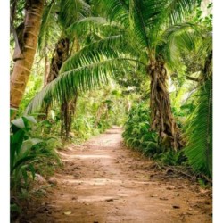 Papel pintado Everest Valley 684727