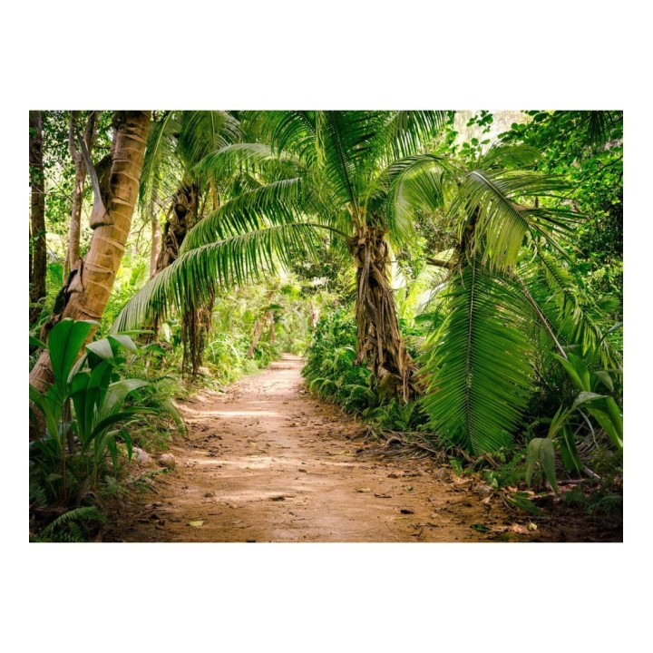 Papel pintado mural sendero tropical entre palmeras y luz de sol - Everest Valley 684727