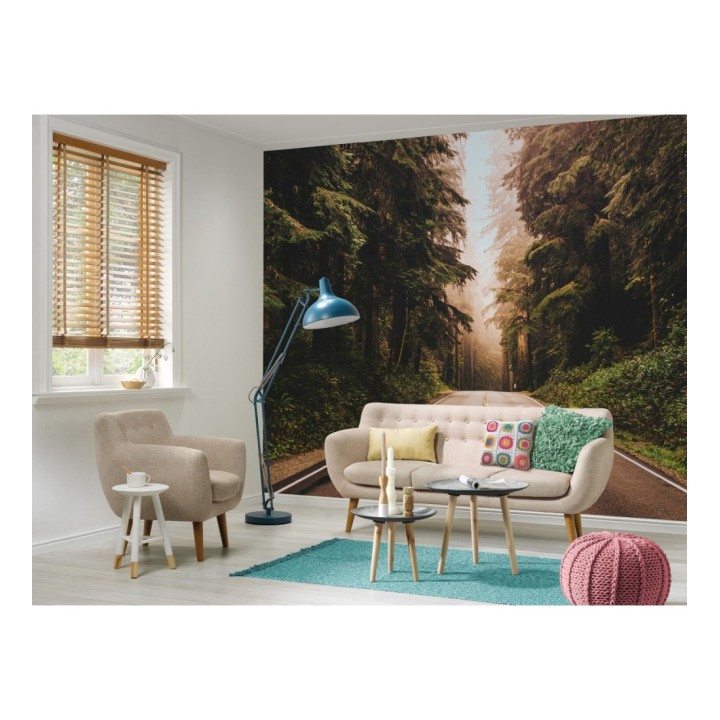 Papel pintado mural ruta boscosa con luz dorada y niebla - Odessa Trail 684728