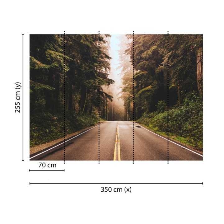 Papel pintado mural ruta boscosa con luz dorada y niebla - Odessa Trail 684728