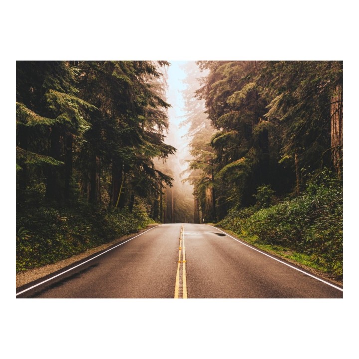 Papel pintado mural ruta boscosa con luz dorada y niebla - Odessa Trail 684728