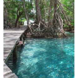 Olaris Island 684729