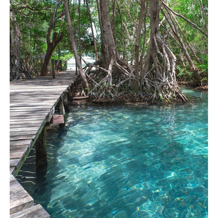 Papel pintado mural manglar exótico y aguas turquesas cristalinas - Olaris Island 684729