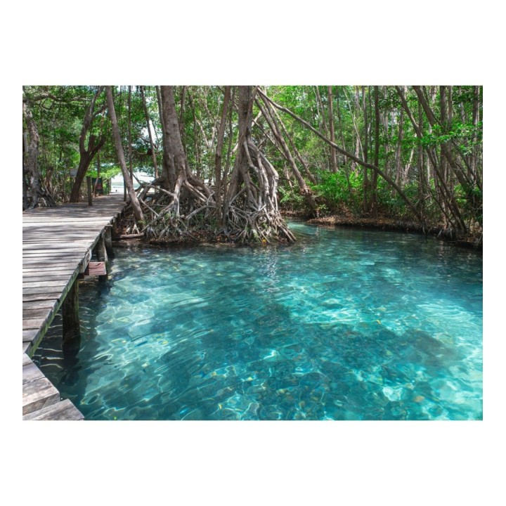 Papel pintado mural manglar exótico y aguas turquesas cristalinas - Olaris Island 684729