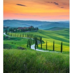 Papel pintado Odessa Trail 684730