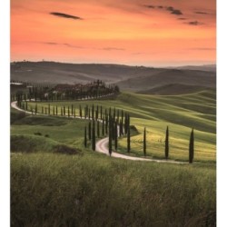 Papel pintado Odessa Trail 684731