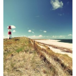 Olaris Island 684732