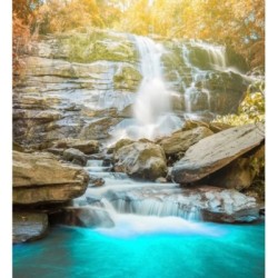 Papel pintado Nature Haven 684736