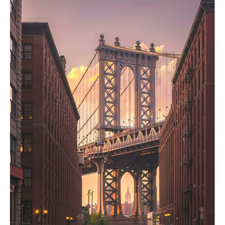 Papel pintado mural vista urbana de Brooklyn con arquitectura clásica  - Triven Timeless 684741