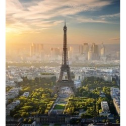 Papel pintado Triven Timeless 684742