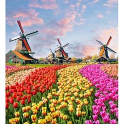 Papel pintado Odessa Trail 684747