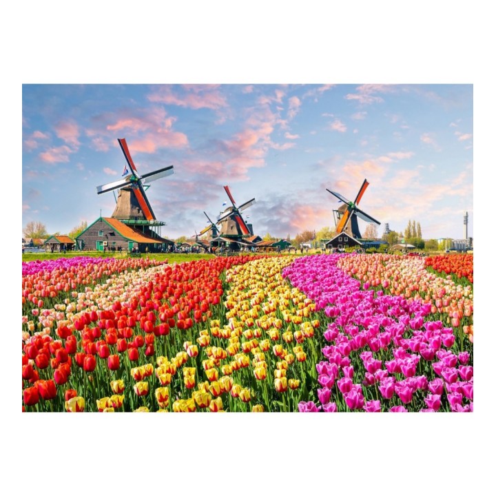 Papel pintado mural tulipanes multicolor y molinos holandeses - Odessa Trail 684747