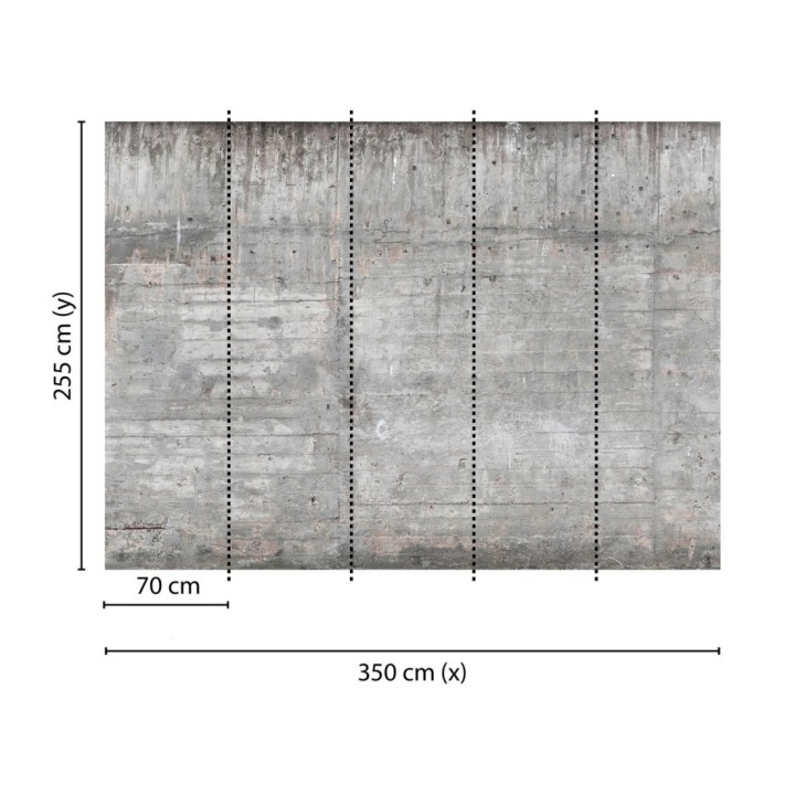 Papel pintado mural de hormigón con marcas de encofrado lineal - Industrial Charm 684758