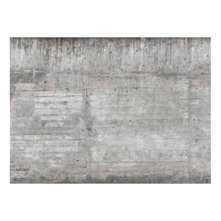 Papel pintado mural de hormigón con marcas de encofrado lineal - Industrial Charm 684758