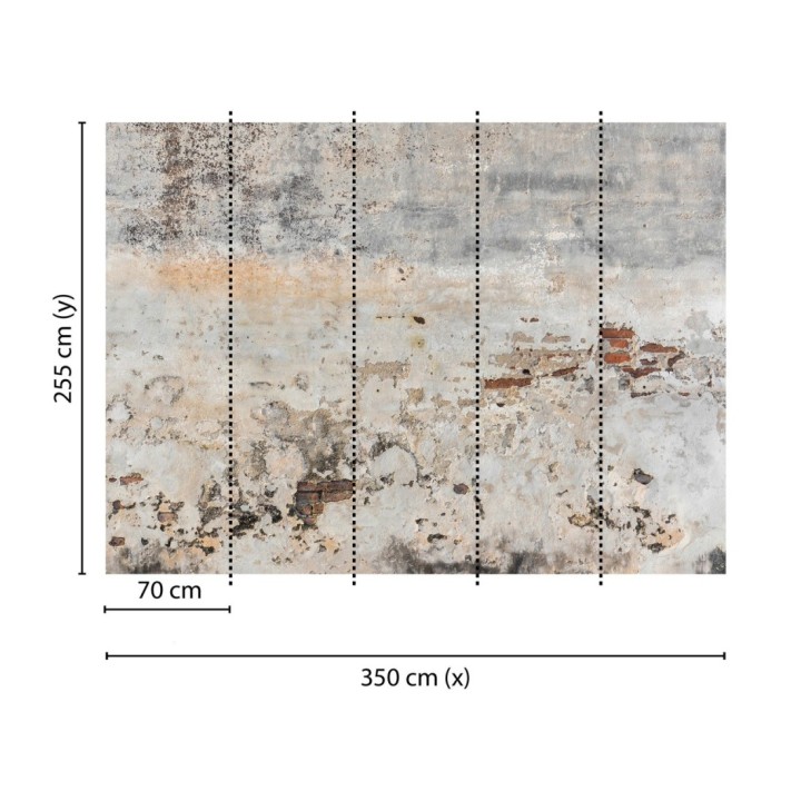 Papel pintado mural de pared de hormigón desgastado con ladrillo visto - Draxen Foundry 684765