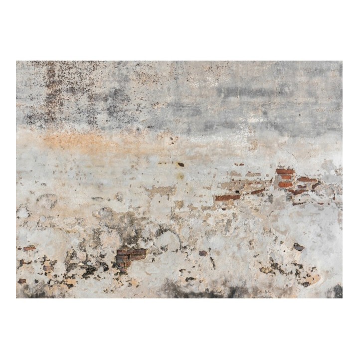 Papel pintado mural de pared de hormigón desgastado con ladrillo visto - Draxen Foundry 684765