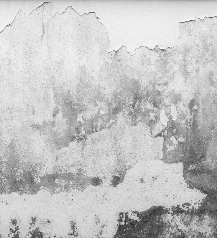 Papel pintado mural superficie de muro antiguo con desconchones y matices grises - Industrial Charm 684766