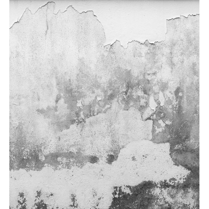 Papel pintado mural superficie de muro antiguo con desconchones y matices grises - Industrial Charm 684766