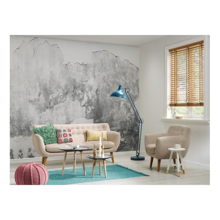 Papel pintado mural superficie de muro antiguo con desconchones y matices grises - Industrial Charm 684766