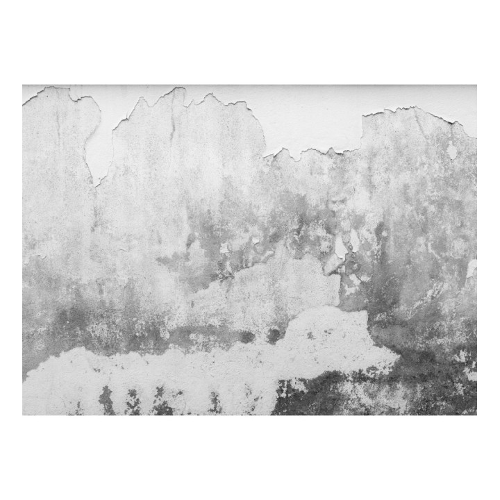 Papel pintado mural superficie de muro antiguo con desconchones y matices grises - Industrial Charm 684766