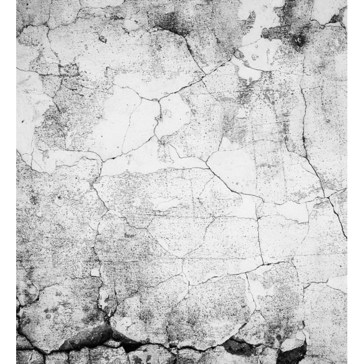 Papel pintado mural diseño industrial de muro desgastado y erosionado - Industrial Charm 684767