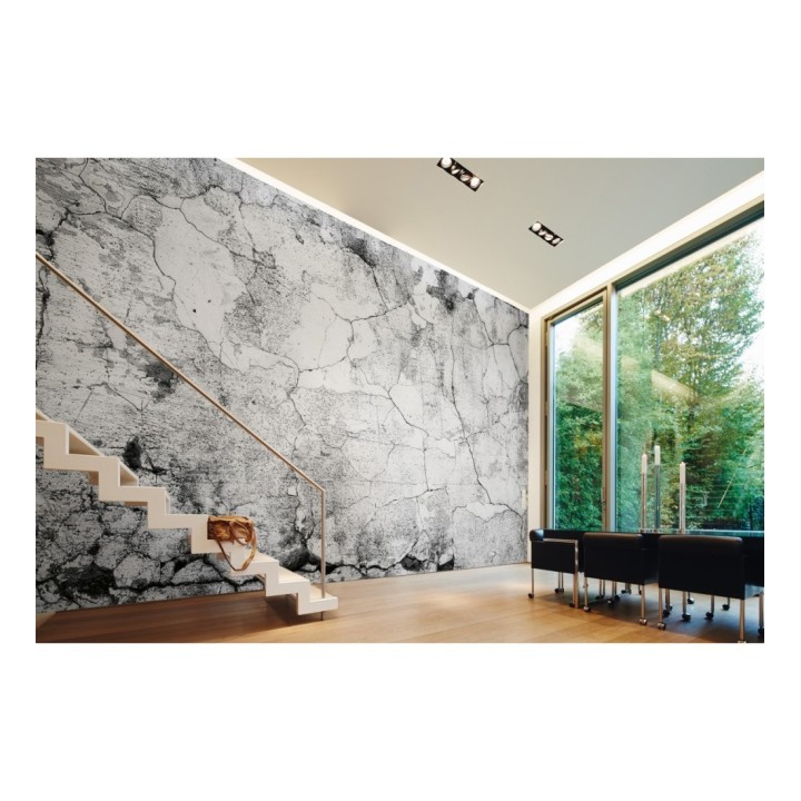 Papel pintado mural diseño industrial de muro desgastado y erosionado - Industrial Charm 684767