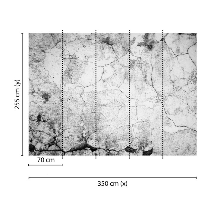 Papel pintado mural diseño industrial de muro desgastado y erosionado - Industrial Charm 684767