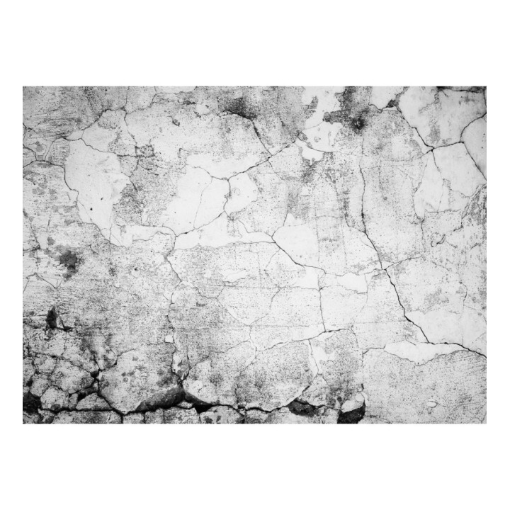 Papel pintado mural diseño industrial de muro desgastado y erosionado - Industrial Charm 684767