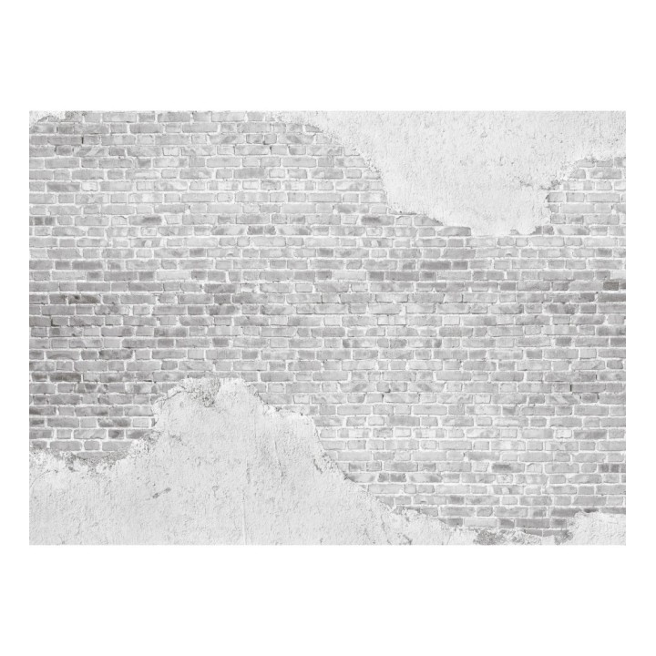 Papel pintado mural de muro de ladrillos con efectos de yeso desconchado - Draxen Foundry 684768