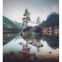 Papel pintado Nature Haven 684777