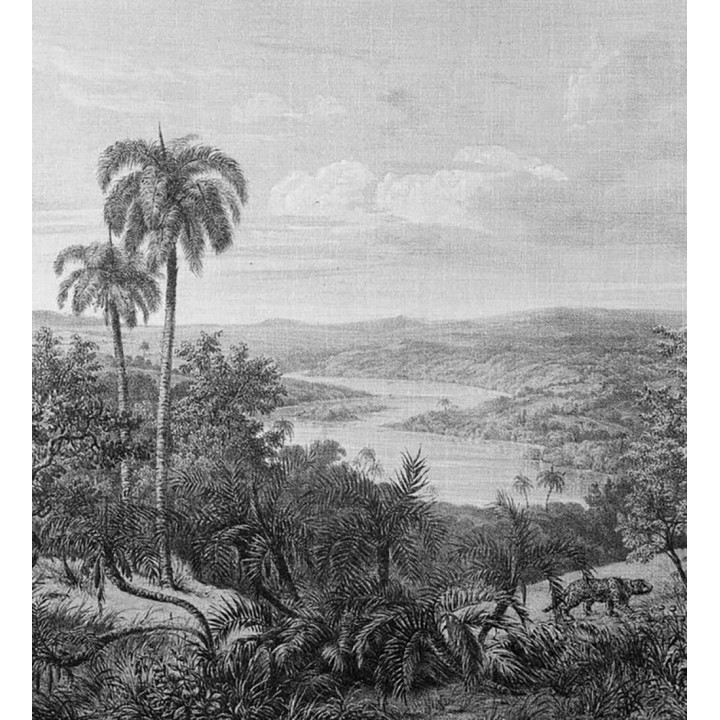 Papel pintado mural ilustración panorámica de naturaleza exótica en blanco y negro - Majestic Pathway 684778