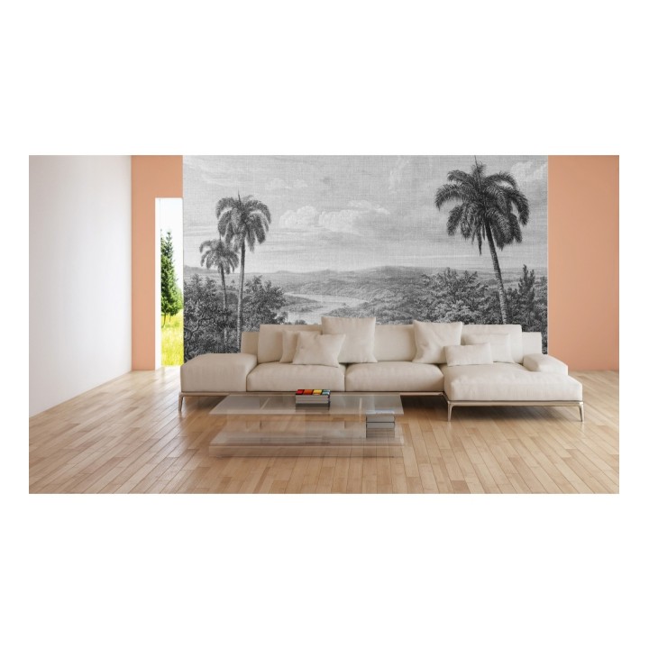 Papel pintado mural ilustración panorámica de naturaleza exótica en blanco y negro - Majestic Pathway 684778