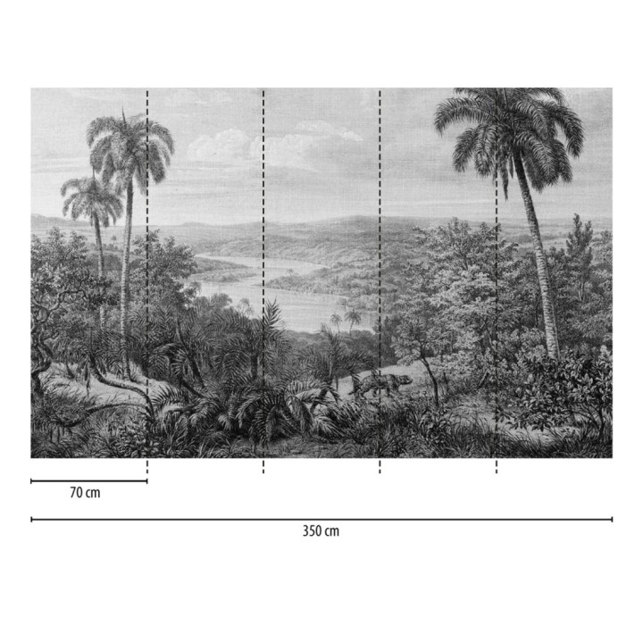 Papel pintado mural ilustración panorámica de naturaleza exótica en blanco y negro - Majestic Pathway 684778