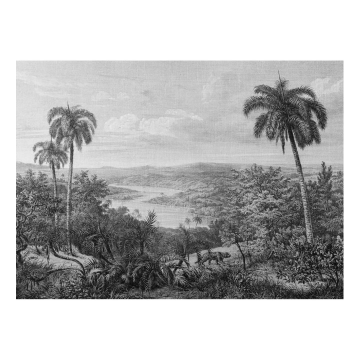 Papel pintado mural ilustración panorámica de naturaleza exótica en blanco y negro - Majestic Pathway 684778