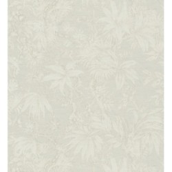 Hanoi Botanic 684817